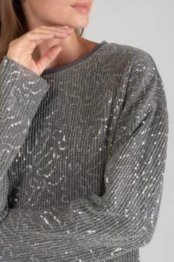 LE TEMPS DES CERISES Top Able Argenté -Mode Mix Soldes 231 fable00000000ml 1149 imaged1