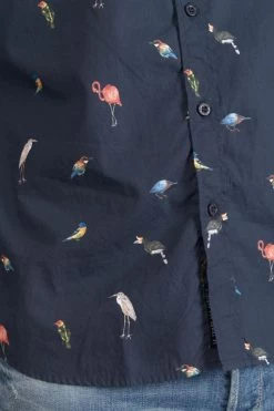 LE TEMPS DES CERISES Chemise Birdy à Motif Oiseaux -Mode Mix Soldes 231 hbirdy0000000ml 3223 imaged4